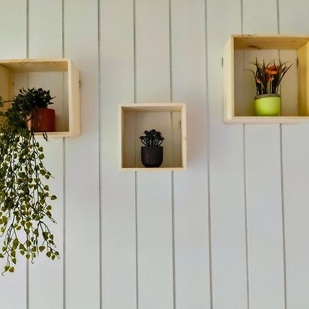 Modern Cozy Apartment, Green Neighborhood, Good Connectivity Duisburgo Esterno foto